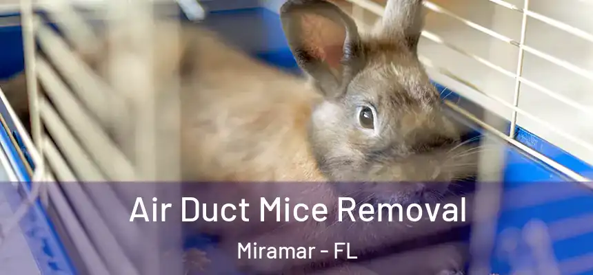  Air Duct Mice Removal Miramar - FL