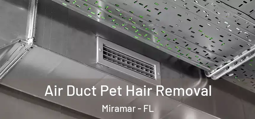  Air Duct Pet Hair Removal Miramar - FL