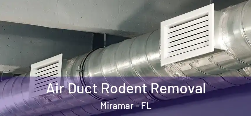  Air Duct Rodent Removal Miramar - FL