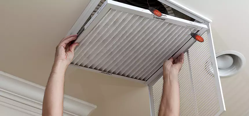 Our Insect Removal from Air Ducts Services in Miramar, FL