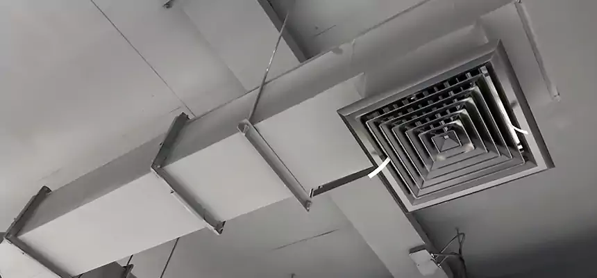 Our Rodent Droppings In Vents Services in Miramar, FL