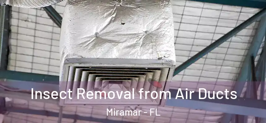  Insect Removal from Air Ducts Miramar - FL