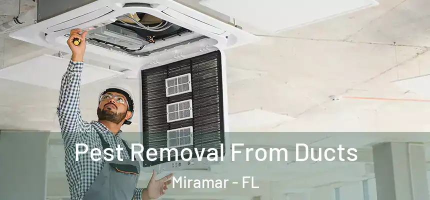  Pest Removal From Ducts Miramar - FL