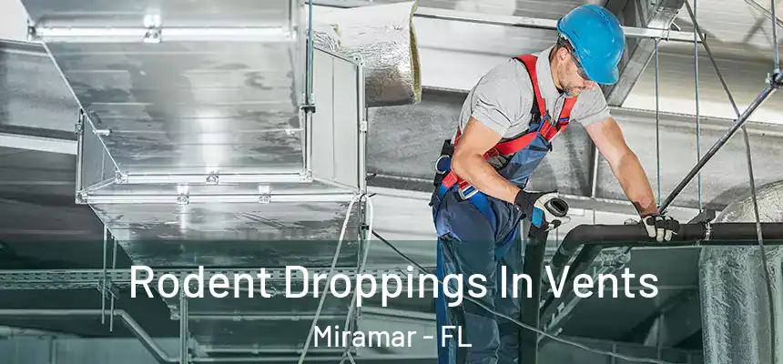  Rodent Droppings In Vents Miramar - FL
