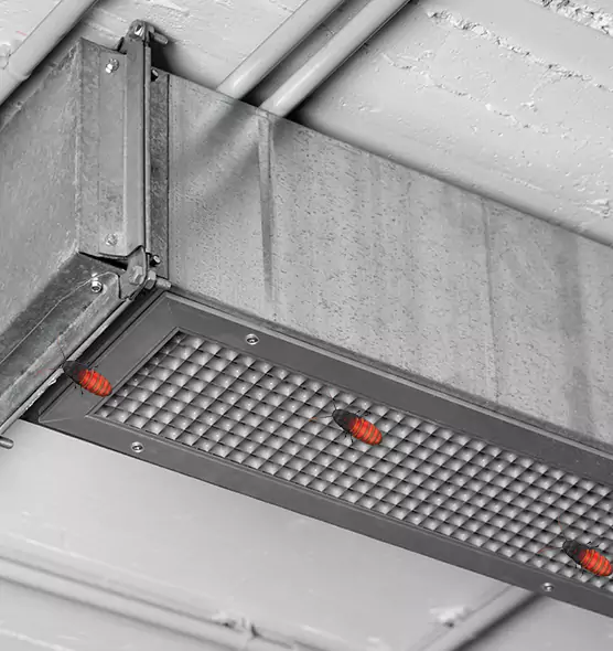 About Air Duct Cockroach Removal in Miramar, FL