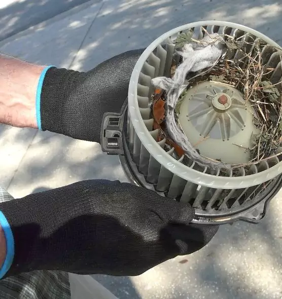 About Air Duct Mice Removal in Miramar, FL