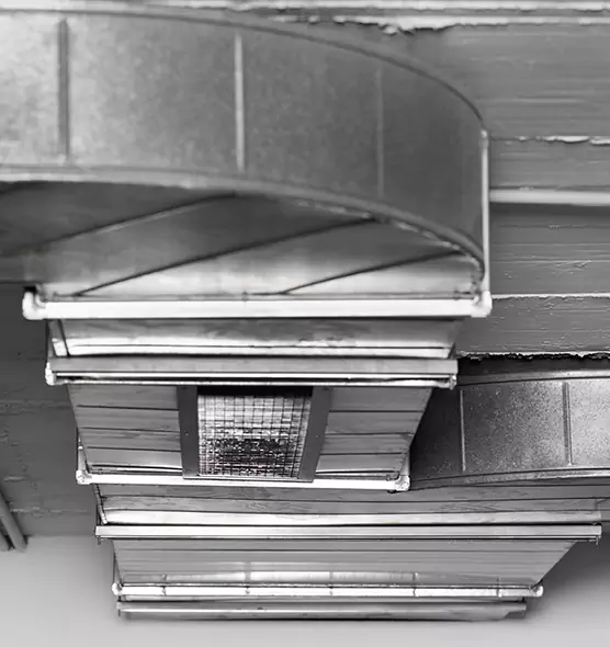 Professional Air Duct Pest Removal in Miramar, FL