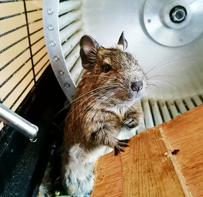 Why Homeowners & Businesses Trust Us Miramar, FL