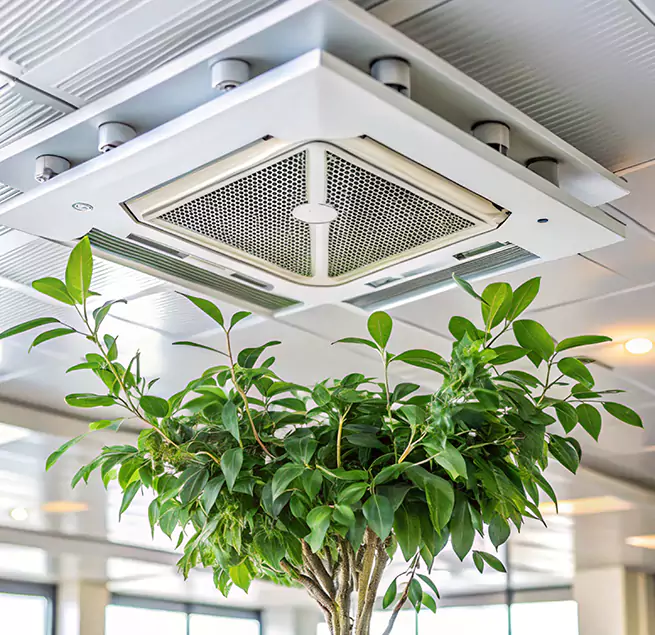 Why Homeowners & Businesses Trust Us in Miramar, FL?