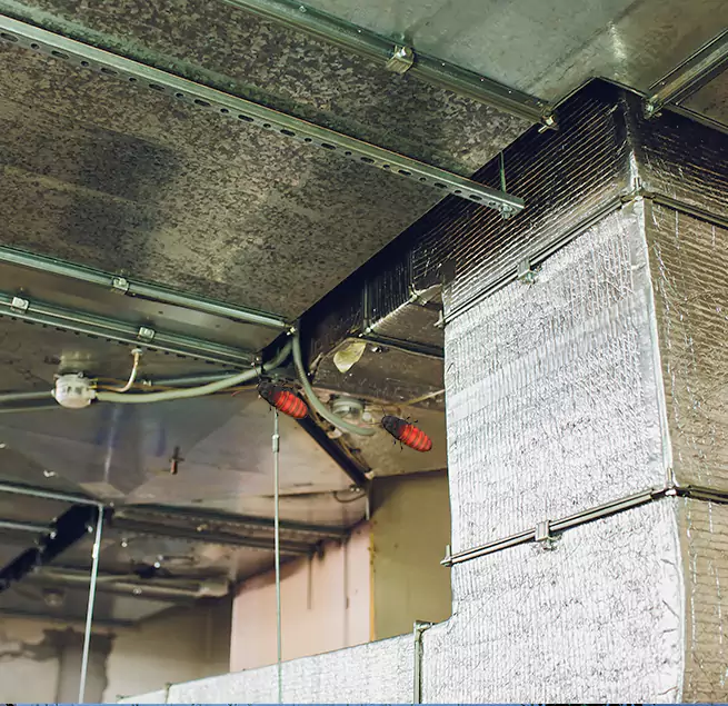 Why Homeowners & Businesses Trust Us Miramar, FL?